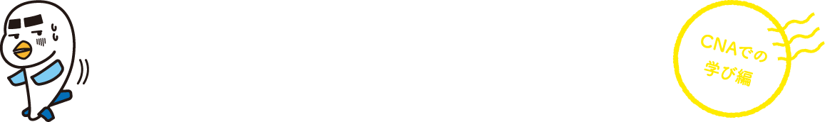 キャビンアテンダント・グランドスタッフコースの先輩たちに聞いてみました！ ホンネのアンケート