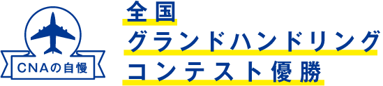 グランドハンドリングコース Cnaの学び 中日本航空専門学校 グランドハンドリングコース Cnaの学び 中日本航空専門学校
